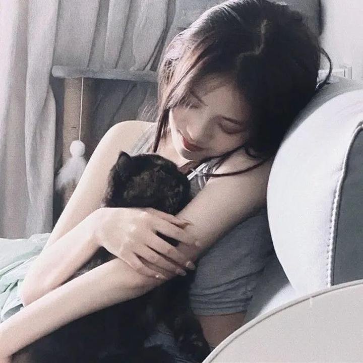 金牌贱猫：重新出击