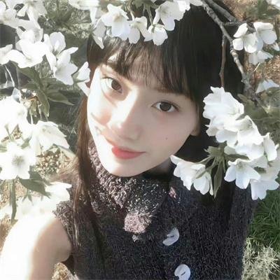 双面男模之桃花期