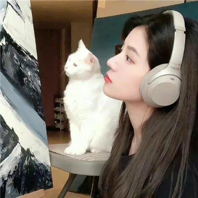 傻瓜拳击手